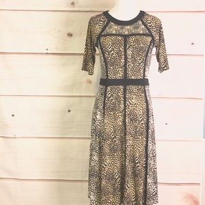 Just... Taylor Leopard Black Outline Stretch Dress
